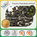 Free sample for trial HACCP KOSHER natural 60% bakuchiol bulk powder or oil 5:1 10:1 Fructus Psoraleae extract